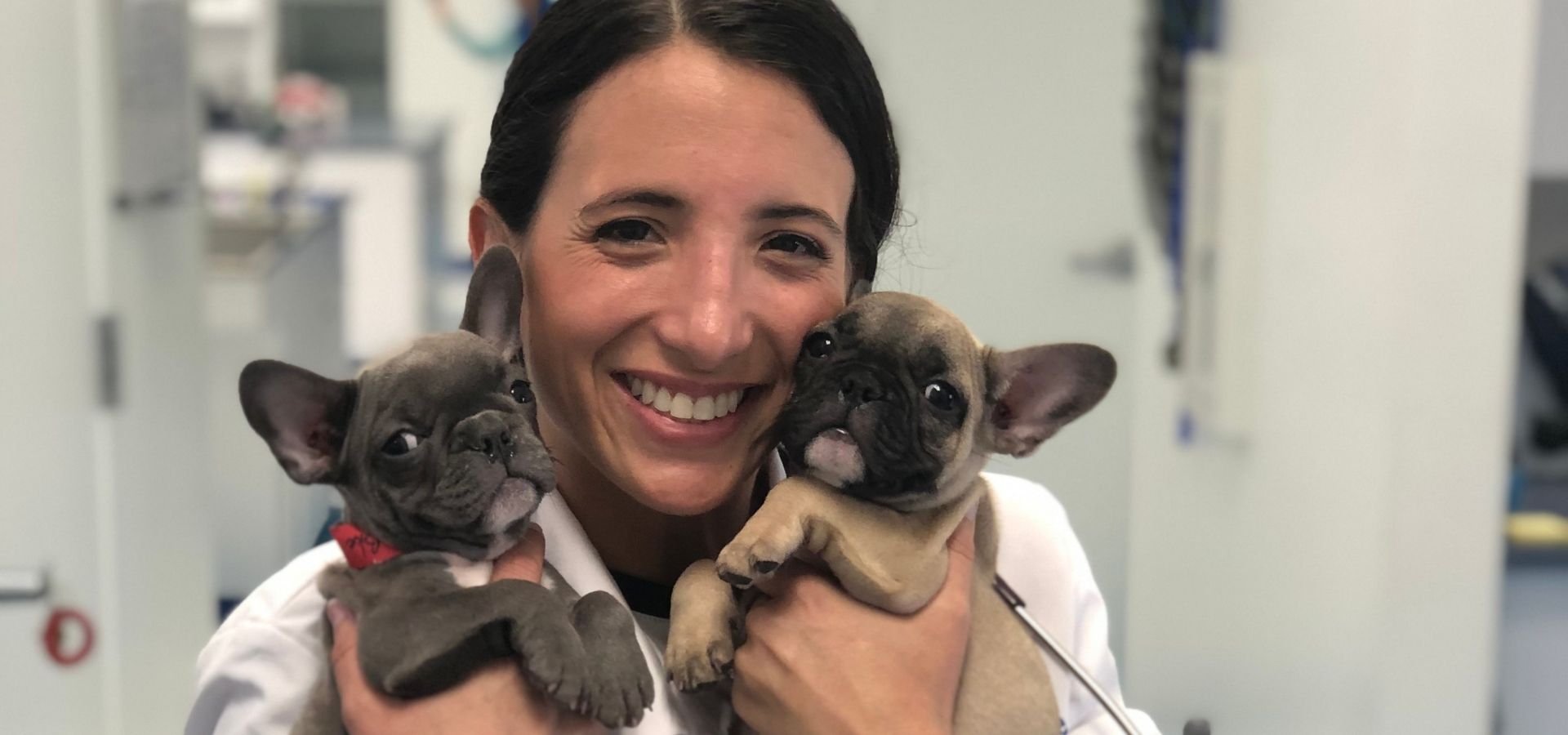 Veterinary Career Opportunities Latinx Veterinary Medical Association