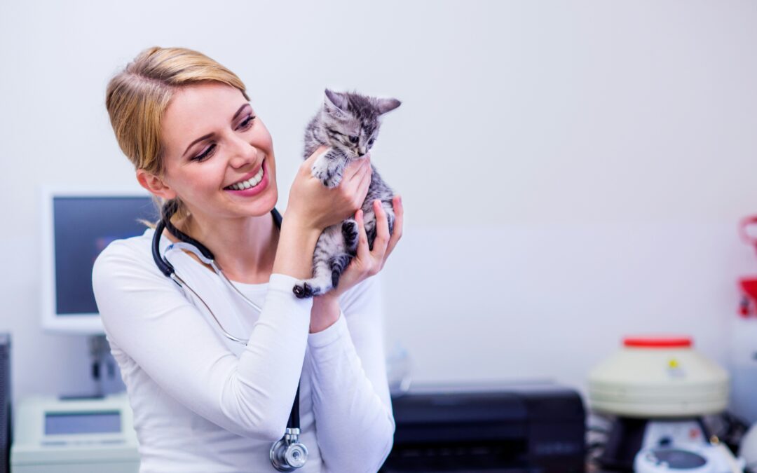 The Power of Being a Veterinarian